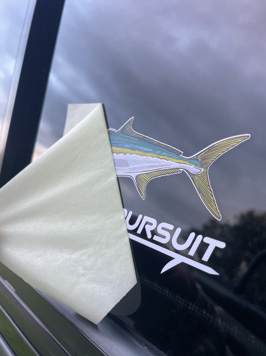 Yellowtail Kingfish Transfer Sticker