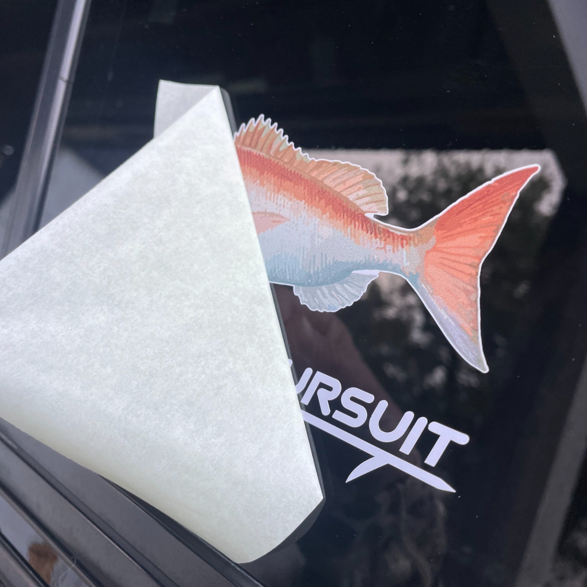 Snapper Transfer Sticker