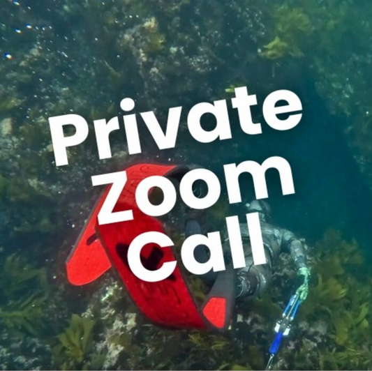 Private 1 Hour Zoom Video Call