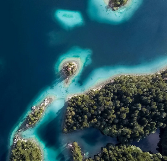 Solomon Island's Spearfishing & Cultural Expedition