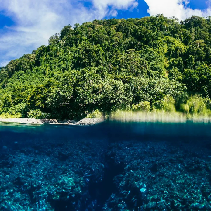 Solomon Island's Spearfishing & Cultural Expedition