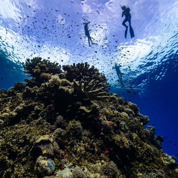 Solomon Island's Spearfishing & Cultural Expedition