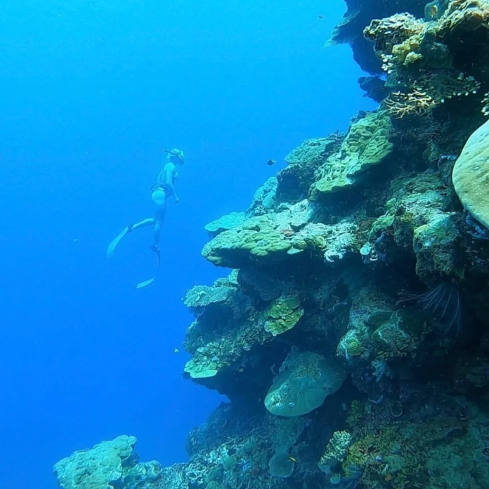 Solomon Island's Spearfishing & Cultural Expedition