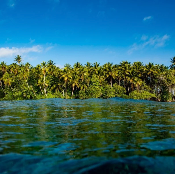 Solomon Island's Spearfishing & Cultural Expedition